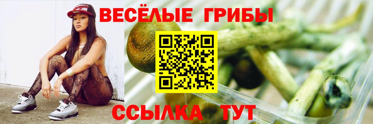 Псилоцибиновые грибы Psilocybine cubensis  Вход с VPN  Волоколамск  Псилоцибиновые грибы прущие грибы 
